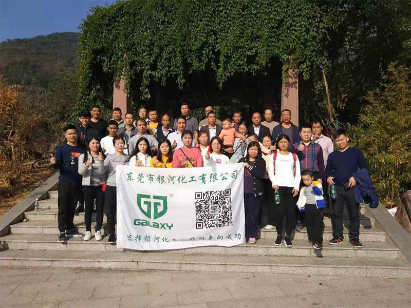 清溪森林公園團建